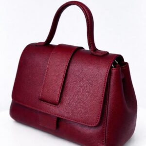 Bolso Estilo Delmy